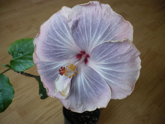 P1250877