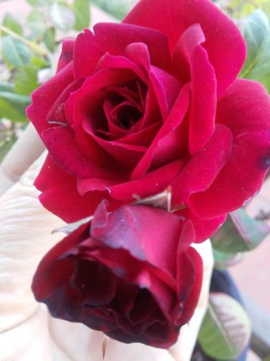 20160420_182946