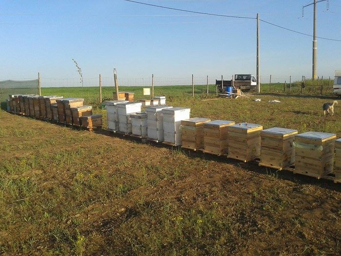 13022366_870453049766675_344065060_n (1)