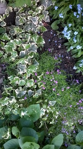 WP_20160420_050 - Stancarie