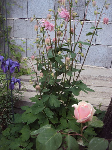 DSC09358