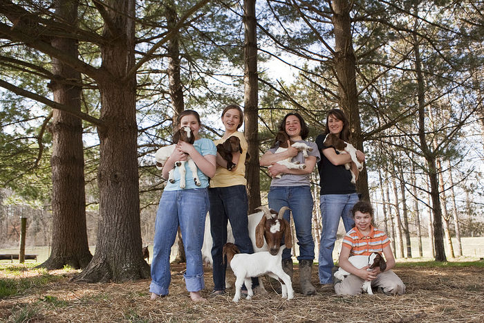 Copii cu Boerii iezi - Rase de oi si capre poze deosebite 11