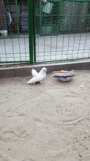 Fem.2013 Dnu.Maxim Iosif.Loc.Galati Jud.Galati - 8___-PERSOANE CU CARE AM COLABORAT- VANZARI