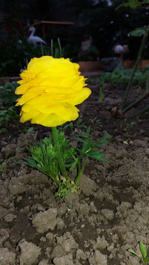 20160417_182804