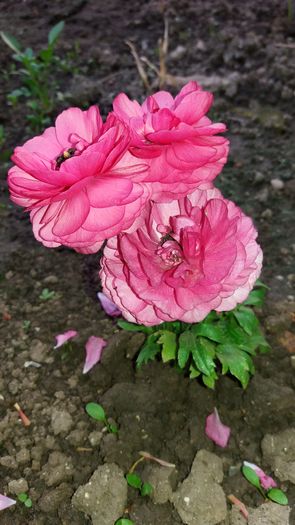 20160417_182845