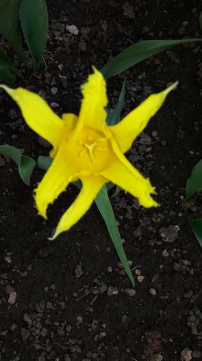 20160417_182906