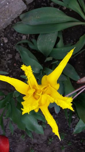 20160417_182915