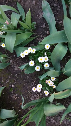 20160417_182921