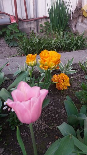20160417_183411