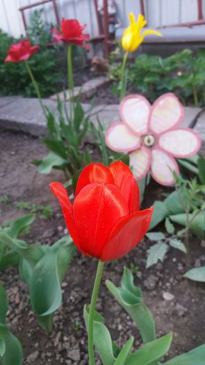 20160417_183420