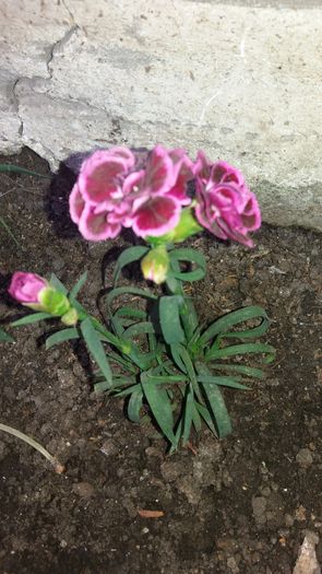 20160417_184444