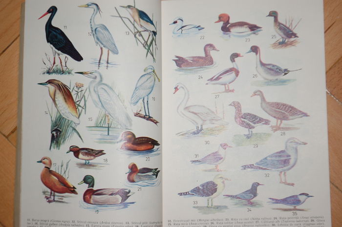 DSC_0523 - Literatura ornitologie