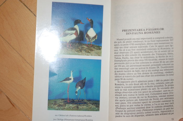 DSC_0533 - Literatura ornitologie