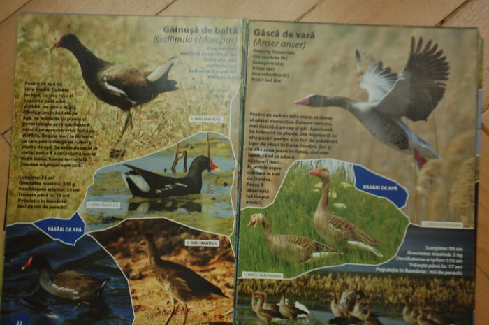 DSC_0535 - Literatura ornitologie