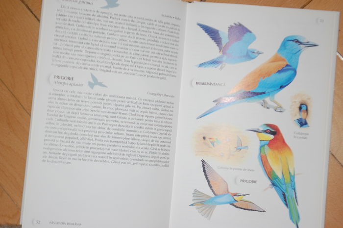 DSC_0537 - Literatura ornitologie
