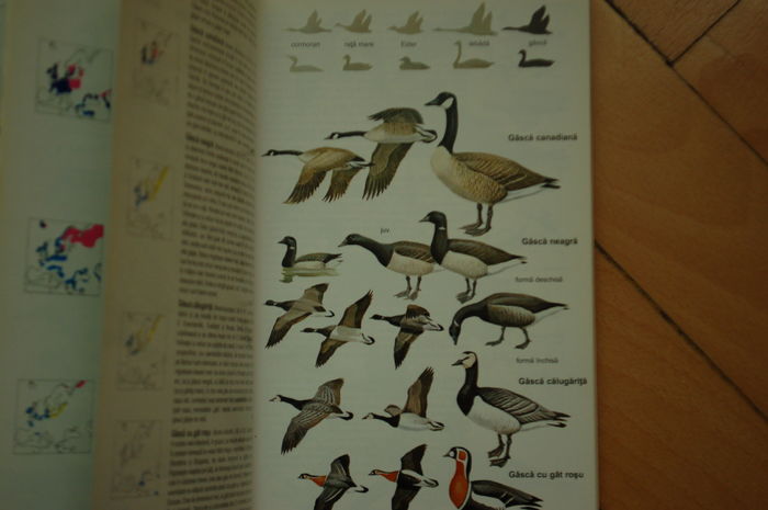 DSC_0541 - Literatura ornitologie