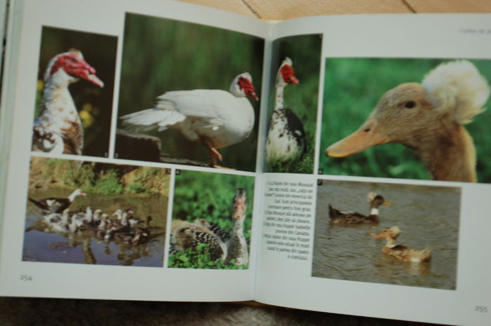 DSC_0543 - Literatura ornitologie