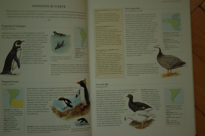 DSC_0547 - Literatura ornitologie
