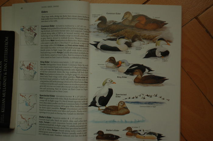 DSC_0551 - Literatura ornitologie
