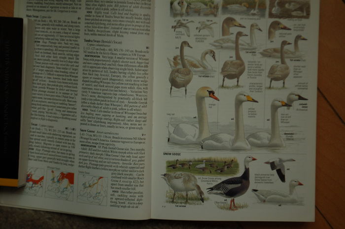 DSC_0553 - Literatura ornitologie