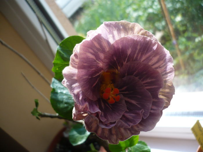 P1250891