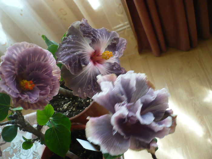 P1250901