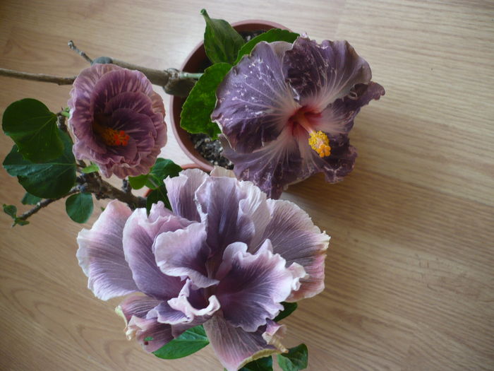 P1250906