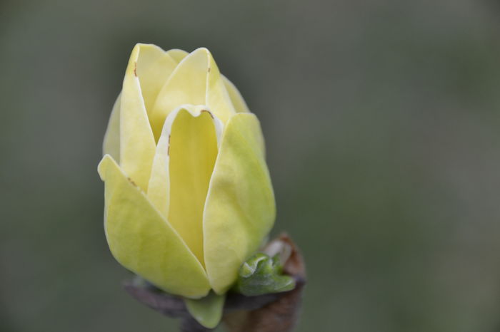 _DSC0382 - yellow river 2016