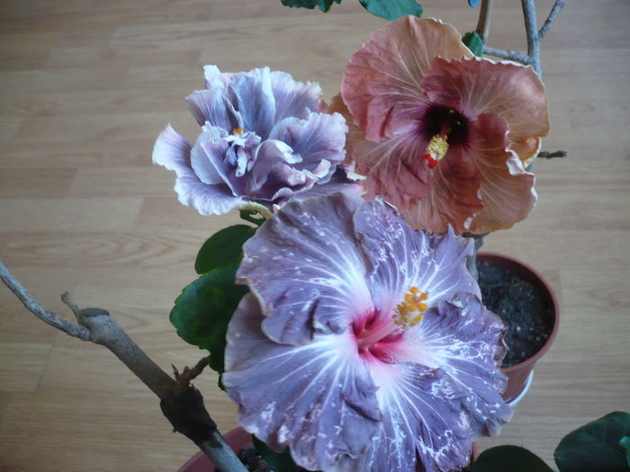 P1250922