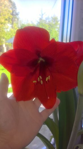 WP_20160422_17_05_30_Pro