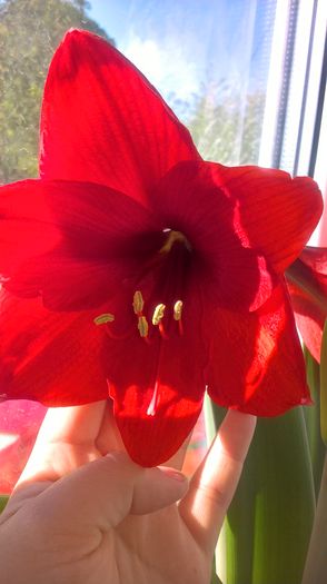 WP_20160422_09_07_25_Pro