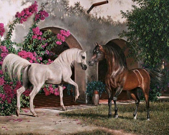 FB_IMG_1461356160817 - C Pentru cei care le plac aceste animale