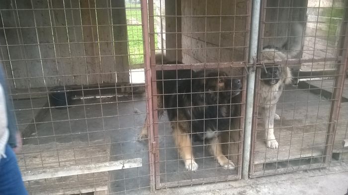 WP_20160326_09_41_23_Pro