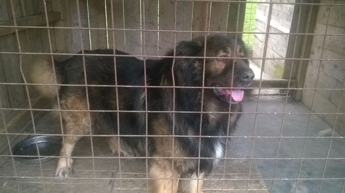 WP_20160326_09_41_47_Pro