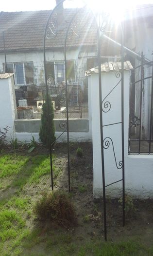 20160423_091739 - Constructii casa si gradina