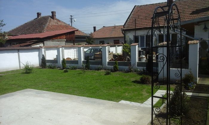 20160423_125039 - Constructii casa si gradina