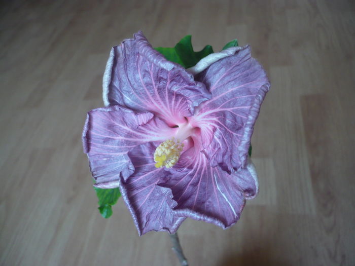 P1250948