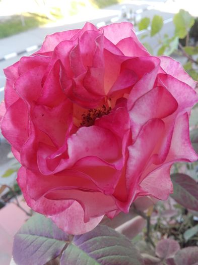 20160423_185919