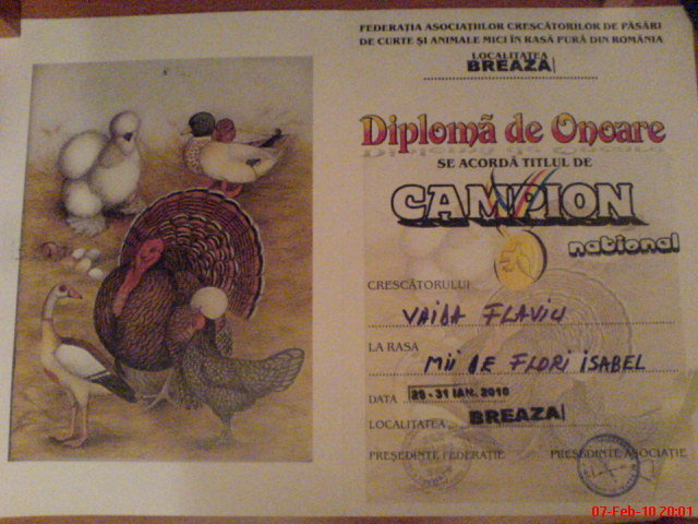 campion national-portelan isabel - REZULTATE DIPLOME STATUETE MEDALII 2010