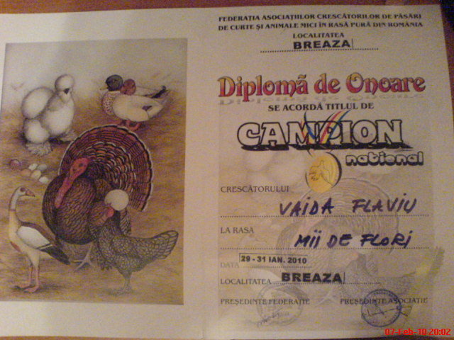 campion national portelan mii de flori - REZULTATE DIPLOME STATUETE MEDALII 2010