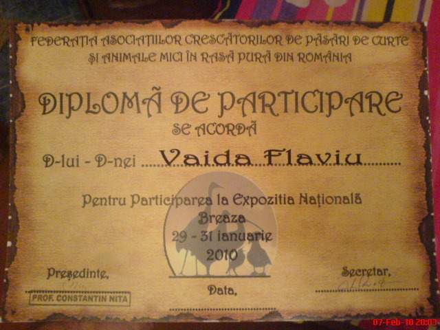 diploma de participare Breaza - REZULTATE DIPLOME STATUETE MEDALII 2010