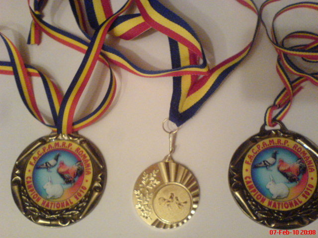 medalii campion-national - REZULTATE DIPLOME STATUETE MEDALII 2010