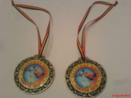 medalii campion-judetean - REZULTATE DIPLOME STATUETE MEDALII 2010