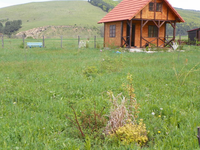 23 apr (7) - z-Dobarland 2016