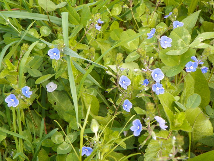 23 apr (53)