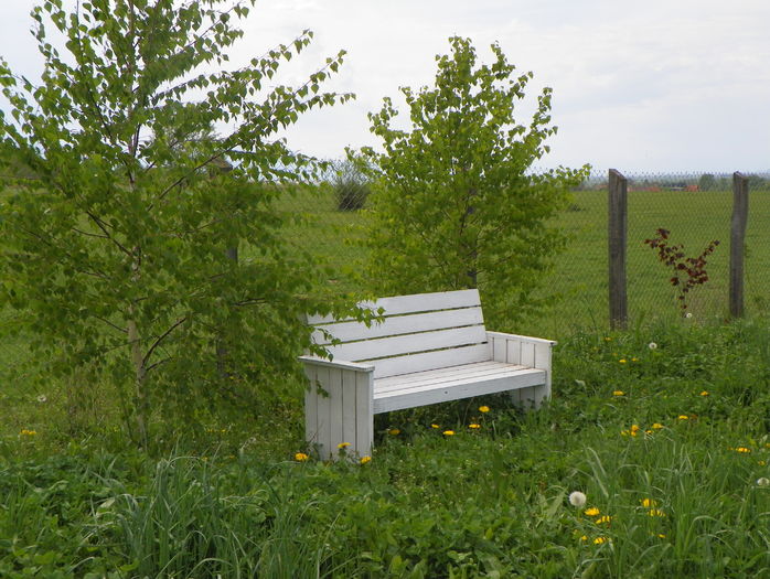 23 apr (52)