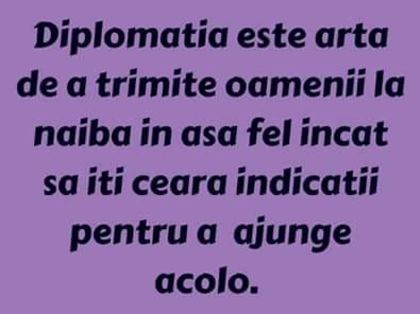 13007088_486673428189367_6567428937143082973_n - Diverse