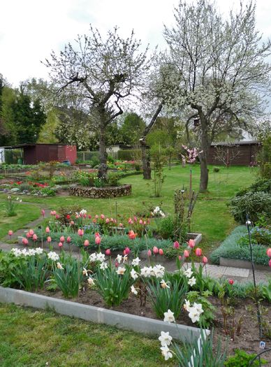 P1800366 - 2016 - 01 - Primavara