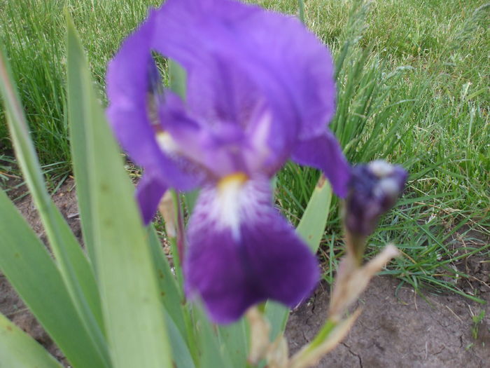DSCF8135