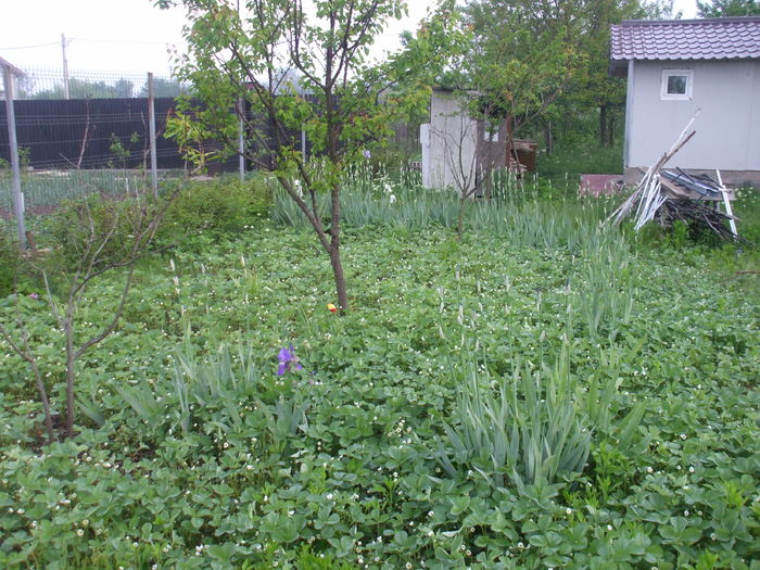 DSCF8141